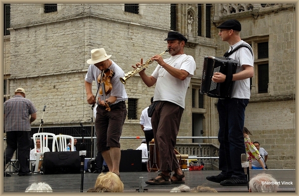 sized_sized_DSC44635a Pikkeling in Aalst-nogal neig