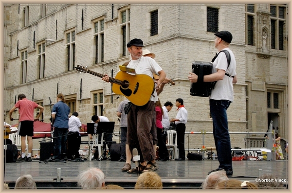 sized_sized_DSC44643a Pikkeling in Aalst-nogal neig