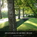 Afbeelding 015