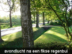 Afbeelding 015