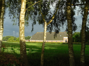Spel van regen, zon en schaduw