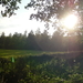 Avondzon