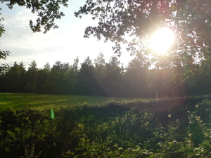 Avondzon