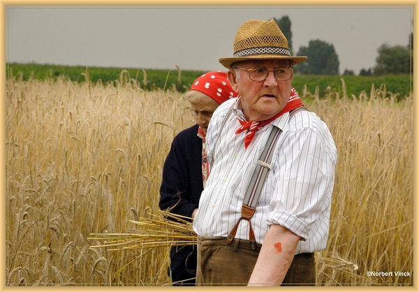 sized_sized_DSC44749a pikkeling  baardegem-effen uitblazen