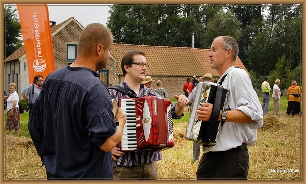 sized_sized_DSC44750a pikkeling  baardegem-effen uitblazen