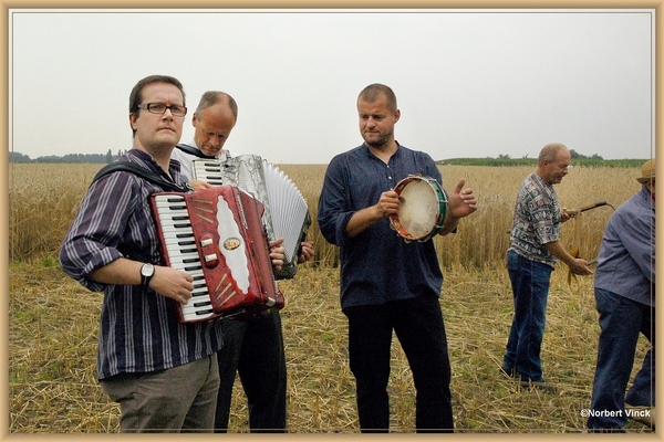 sized_sized_DSC44763a pikkeling  baardegem-schaftijd