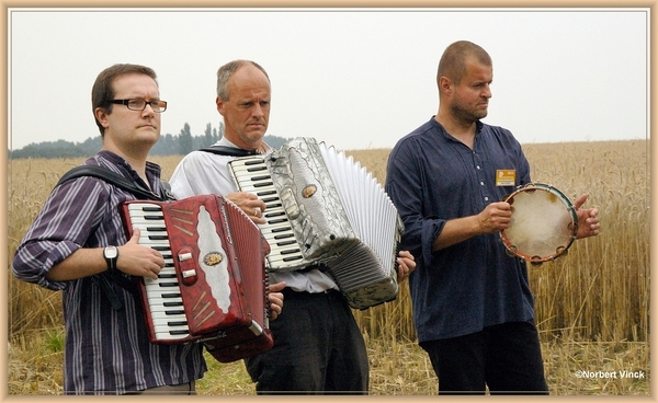 sized_sized_DSC44764a pikkeling  baardegem-schaftijd