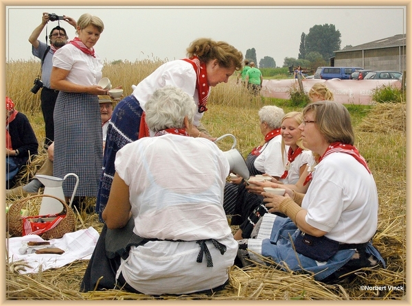 sized_sized_DSC44766a pikkeling  baardegem-schaftijd