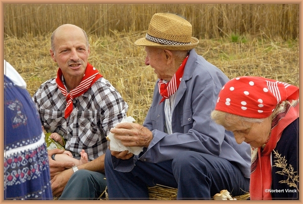 sized_sized_DSC44773a pikkeling  baardegem-schaftijd