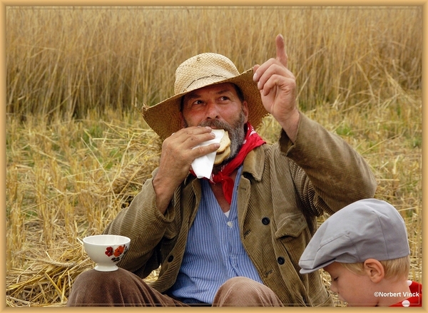 sized_sized_DSC44776a pikkeling  baardegem-schaftijd