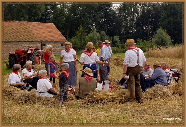 sized_sized_DSC44782a pikkeling  baardegem-schaftijd