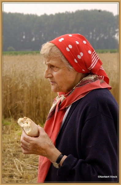 sized_sized_DSC44784a pikkeling  baardegem-schaftijd