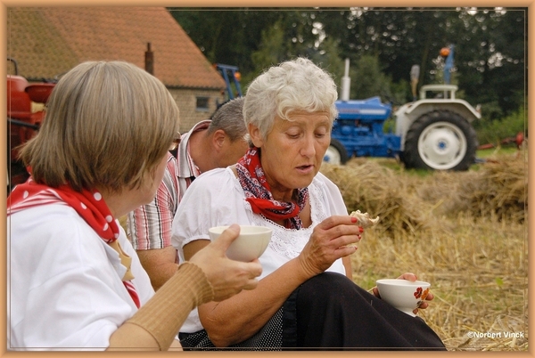 sized_sized_DSC44787a pikkeling  baardegem-oogst