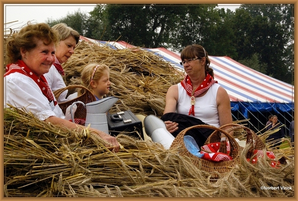 sized_sized_DSC44795a pikkeling  baardegem-oogst binnen