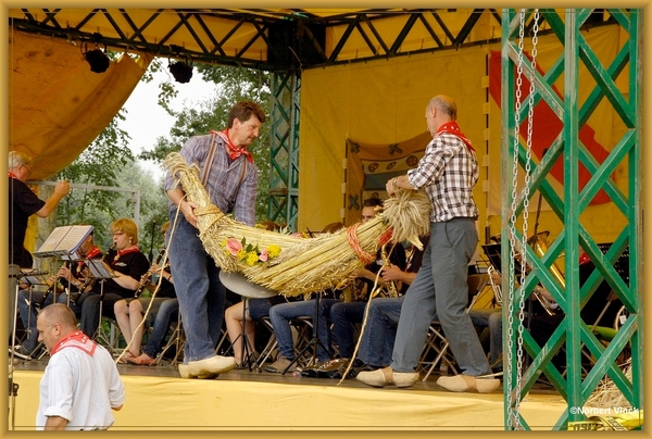 sized_sized_DSC44798a pikkeling  baardegem- de haan binnen