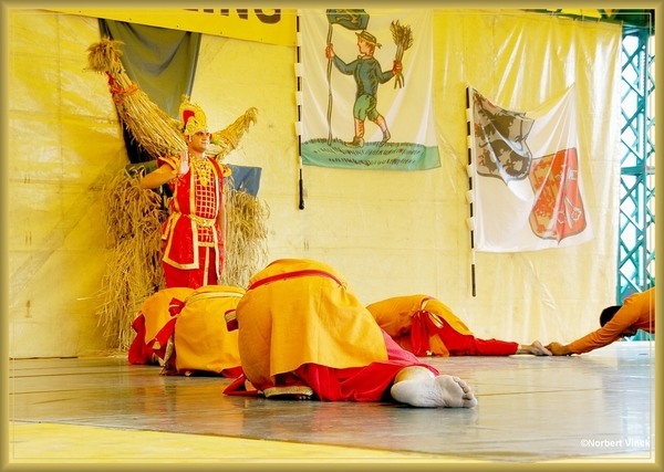 sized_sized_DSC44811a pikkeling  baardegem- Spandan & Ranchi