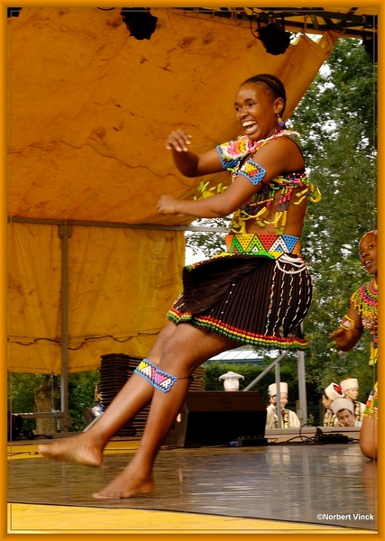 sized_sized_DSC44854a pikkeling  baardegem- Shaka Zulu-zuif afrik