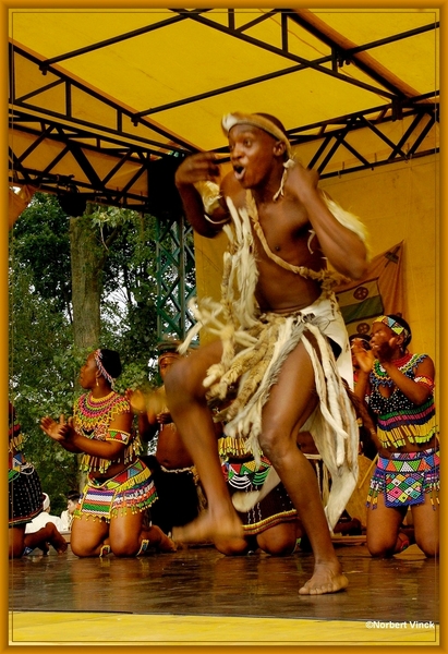 sized_sized_DSC44855a pikkeling  baardegem- Shaka Zulu-zuif afrik