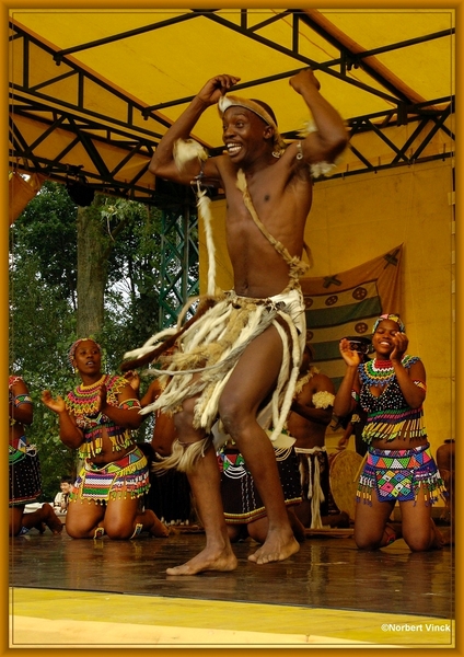 sized_sized_DSC44856a pikkeling  baardegem- Shaka Zulu-zuif afrik