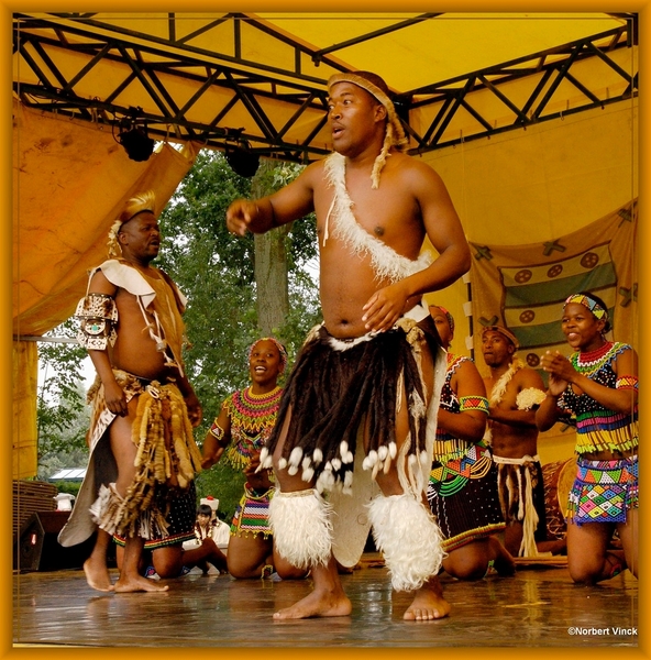 sized_sized_DSC44858a pikkeling  baardegem- Shaka Zulu-zuif afrik