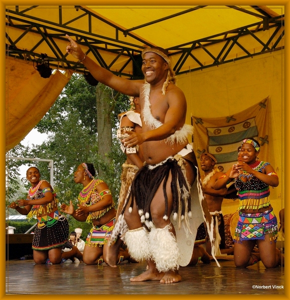 sized_sized_DSC44859a pikkeling  baardegem- Shaka Zulu-zuif afrik
