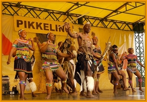 sized_sized_DSC44839a pikkeling  baardegem- Shaka Zulu-zuif afrik