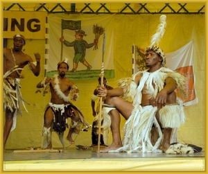 sized_sized_DSC44843a pikkeling  baardegem- Shaka Zulu-zuif afrik