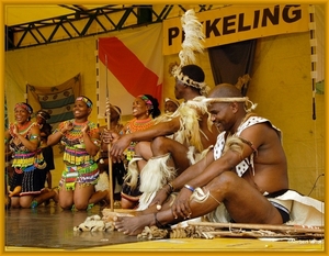 sized_sized_DSC44844a pikkeling  baardegem- Shaka Zulu-zuif afrik