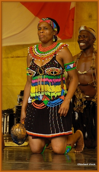 sized_sized_DSC44849a pikkeling  baardegem- Shaka Zulu-zuif afrik