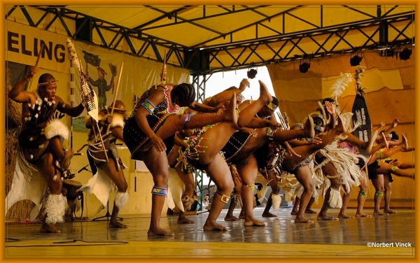 sized_sized_DSC44874a pikkeling  baardegem- Shaka Zulu-zuif afrik