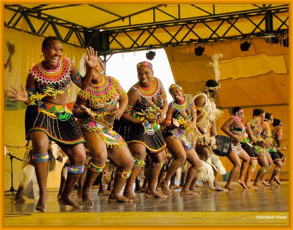 sized_sized_DSC44875a pikkeling  baardegem- Shaka Zulu-zuif afrik