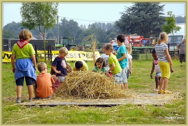 sized_sized_DSC44880a pikkeling  baardegem- kinderpret