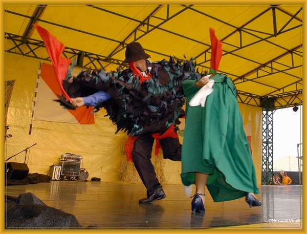 sized_sized_DSC44888a pikkeling  baardegem- Kirqui wayra inquique