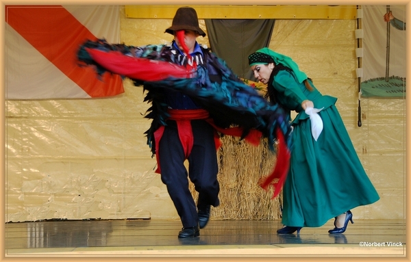 sized_sized_DSC44897a pikkeling  baardegem- Kirqui wayra inquique