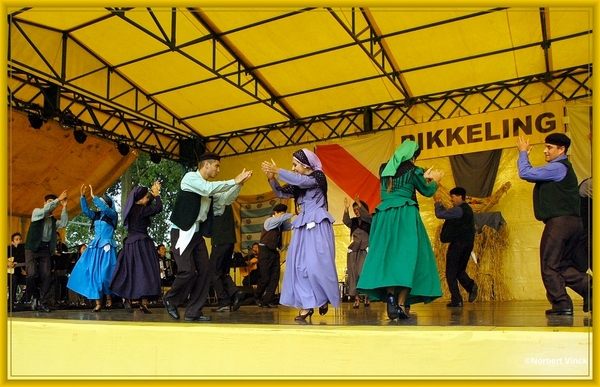 sized_sized_DSC44908a pikkeling  baardegem- Kirqui wayra inquique