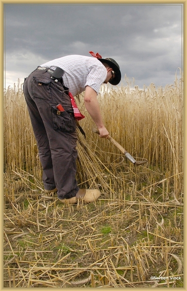 sized_sized_DSC45037a oogst