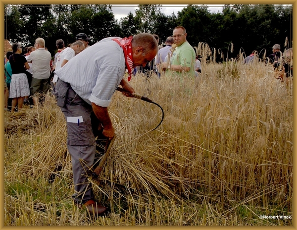 sized_sized_DSC45039a oogst