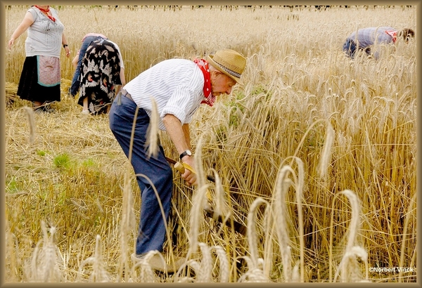 sized_sized_DSC45040a oogst