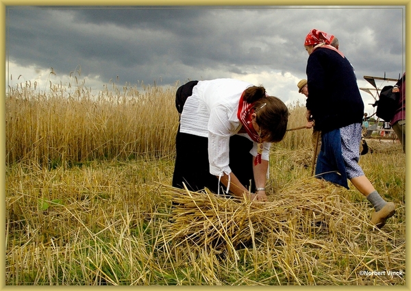 sized_sized_DSC45041a oogst