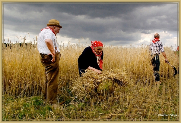 sized_sized_DSC45042a oogst