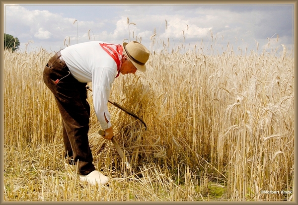 sized_sized_DSC45062a oogst