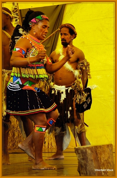 sized_sized_DSC44978a Pikkeling Baardegem  Shaka Zulu-zuid afrika