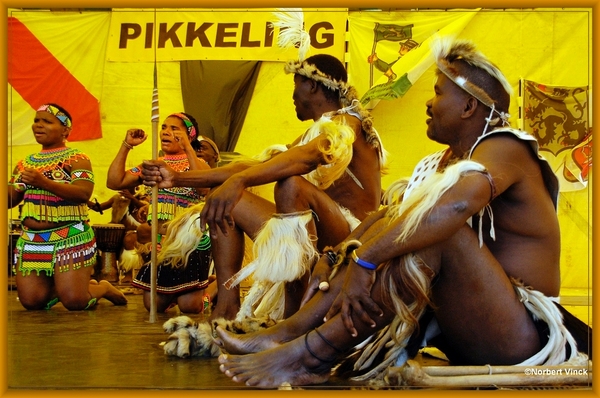 sized_sized_DSC44985a Pikkeling Baardegem  Shaka Zulu-zuid afrika