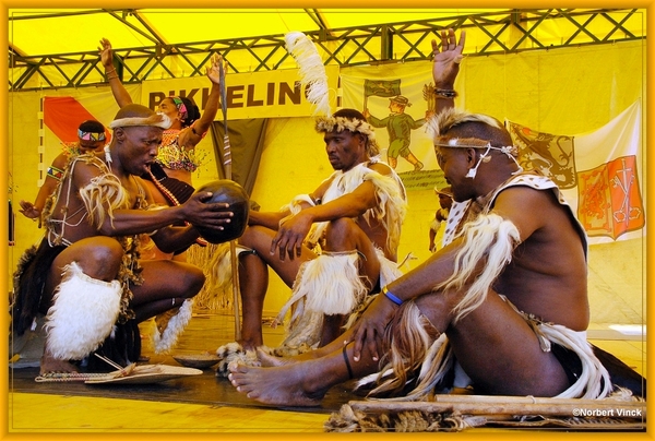 sized_sized_DSC44989a Pikkeling Baardegem  Shaka Zulu-zuid afrika