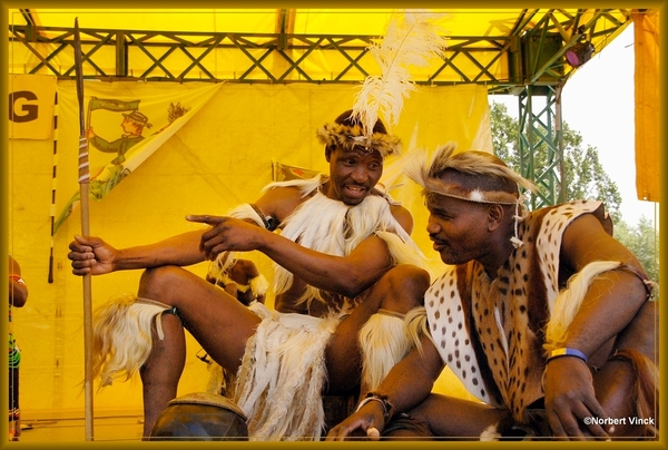 sized_sized_DSC44996a Pikkeling Baardegem  Shaka Zulu-zuid afrika