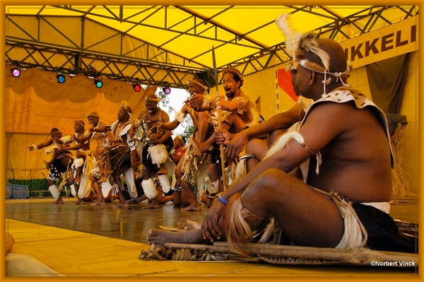 sized_sized_DSC44997a Pikkeling Baardegem  Shaka Zulu-zuid afrika