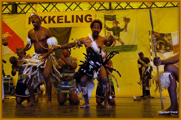 sized_sized_DSC44999a Pikkeling Baardegem  Shaka Zulu-zuid afrika