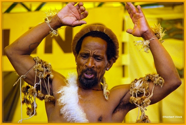 sized_sized_DSC45001a Pikkeling Baardegem  Shaka Zulu-zuid afrika