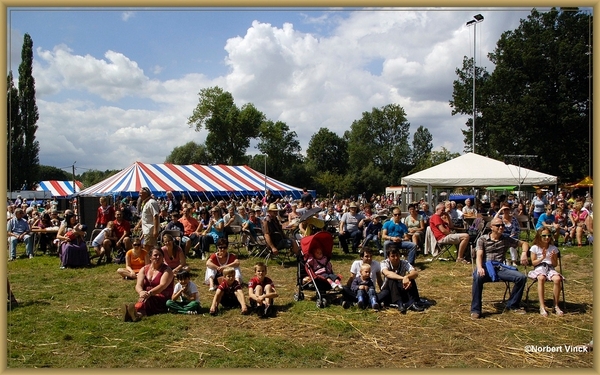sized_sized_DSC45006a Pikkeling Baardegem  -feestweide