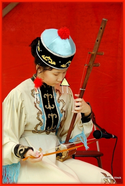 sized_sized_DSC45010a Pikkeling Baardegem  Jangar-kalmukkie